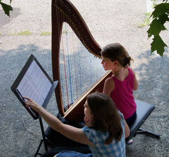 roanoke harp teacher
